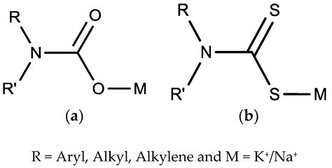 Organotin(IV) Dithiocarbamate Complexes: Chemistry and Biological Activity