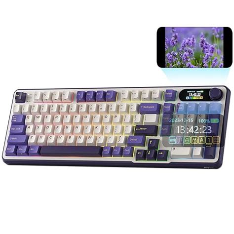 Amazon.in: Buy RK ROYAL KLUDGE S98 Mechanical Keyboard Keyboard BT/2.4G ...