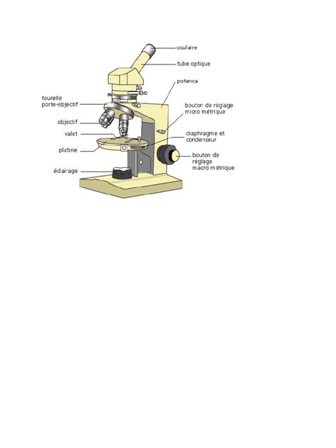 Microscope Optique | PDF