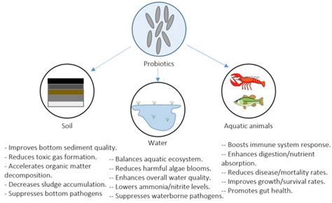 Analysis of Edaphic Factors on the Role of Probiotics in the ...
