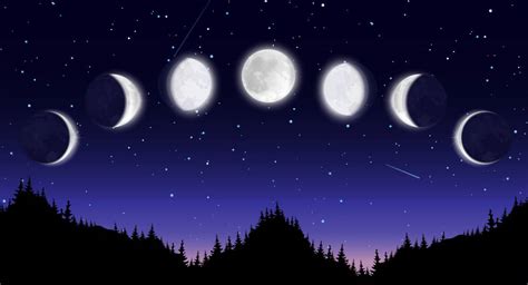 Paganism for Beginners 的图像结果