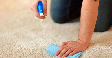10+ Homemade Carpet Cleaner Solutions – Snappy Living