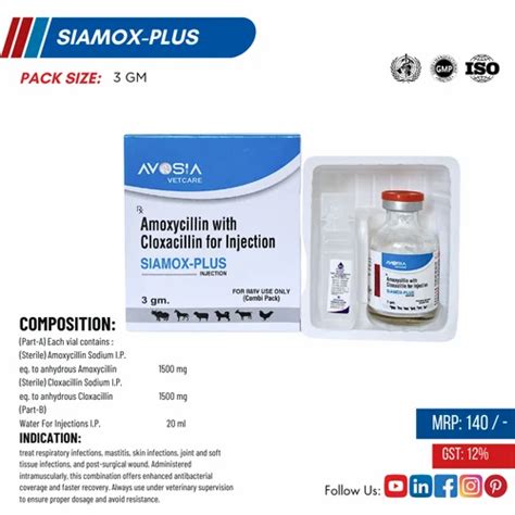 Ventinary Pharmaceutical Injection - AMOXYCILLIN 1500 MG + CLOXACILLIN ...