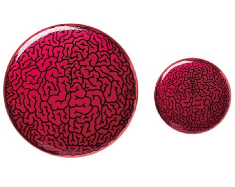 Brain Badge | ...TABOO WORKS