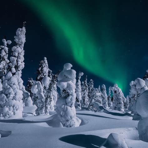 Lapland Royal Adventures - Rovaniemi - 2026 - Tripadvisor