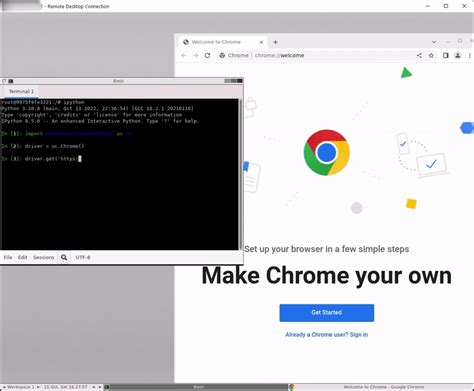 Image result for How to Use Chrome Driver Python