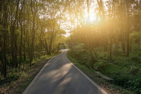 夜晚小路,夜晚林荫小路,乡间小路夜晚_大山谷图库