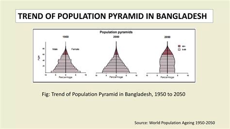 Population of Bangladesh | PPTX