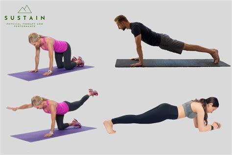 Image result for Functional Exercises Print Out