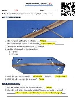 Image result for Free Virtual Earthworm Dissection Lab