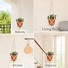 ecofynd Macrame Plant Hanger, Cotton Rope Flower Pot Holder for Indoor ...