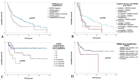 ERBB2 Amplification as a Predictive and Prognostic Biomarker in Upper ...