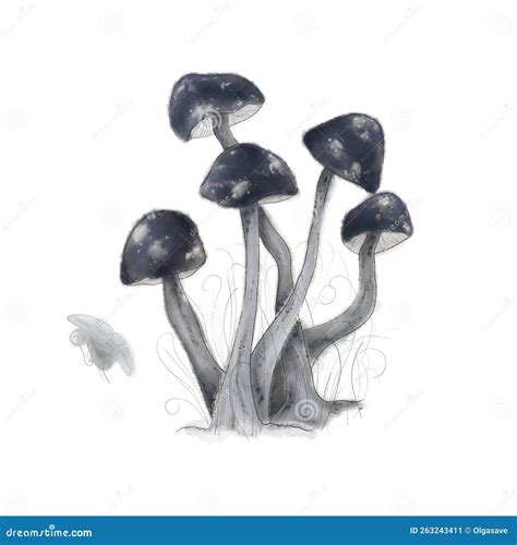 USB Socket Types 的图像结果