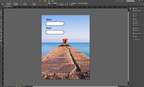 Image result for Interactive Fields InDesign