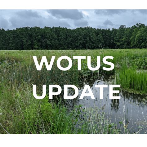 Image result for Stream High Definition