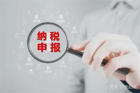 云南国税网上开票系统_网上报税 - 随意云