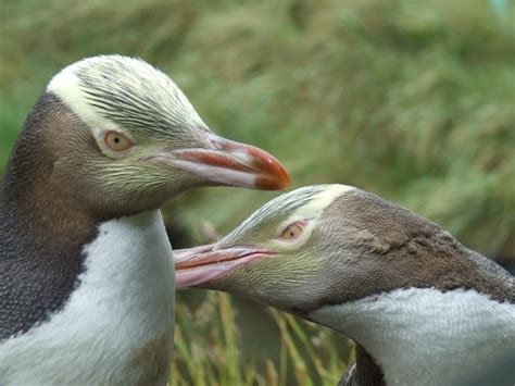 A thoroughly enjoyable trip for everyone - Reviews, Photos - The Otago ...