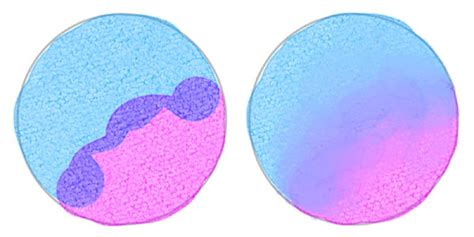 Copy Stamp Clip Studio Paint 的图像结果