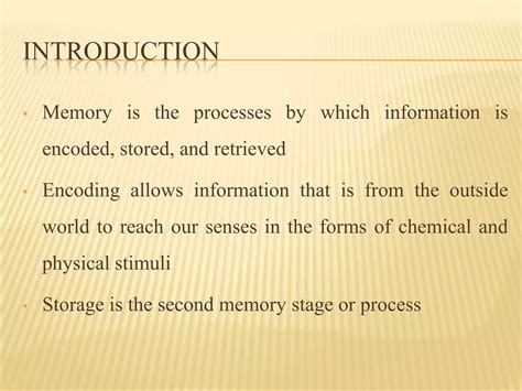 Image result for Tutor2u Memory