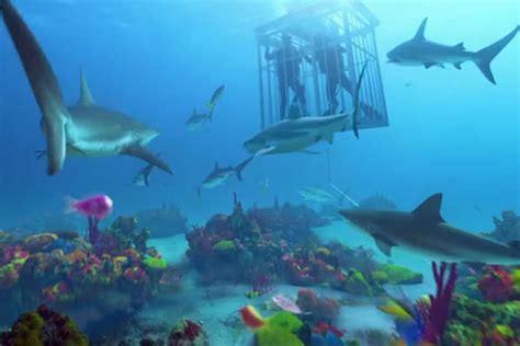 Image result for Shark Week 2016