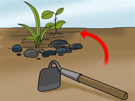 Image result for Hoe Problem