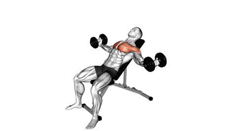 10 Effective Exercises For Pec Major Muscles - Workout Guru