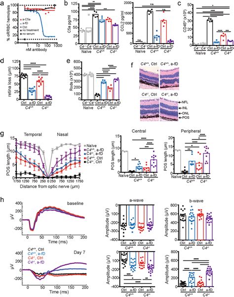 Image result for Complement Pathways Animation