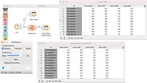 How to Randomize Omega Ruby 的图像结果