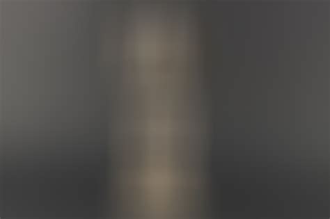 ratisbon's | HJ Tischdekoration an Max Amann | DISCOVER GENUINE ...