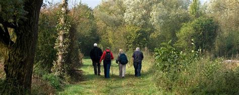 Guided Wildlife Observation & Drawing Walk, Fulbourn Manor, Manor Walk ...