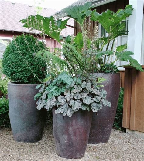 10 Outdoor Plant Pot Ideas to Brighten Up Your Garden