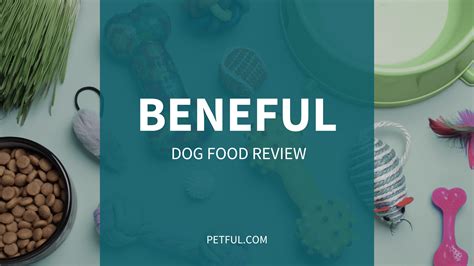 Beneful Dog Food Review (Brand) - Complete Buyer’s Guide - Petful