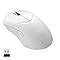 Amazon.in: Buy Rapoo VT9PRO Superlight Wireless Gaming Mouse - PAW 3398 ...