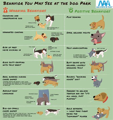 Dog Body Posture Diagram Wagging Or Warning? Understanding Dog To Dog