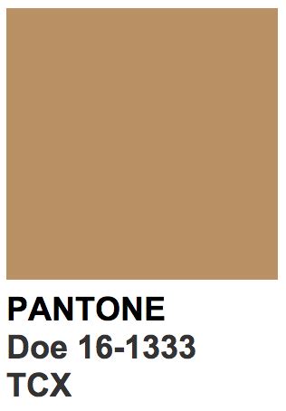 Image result for Colors in Python Program