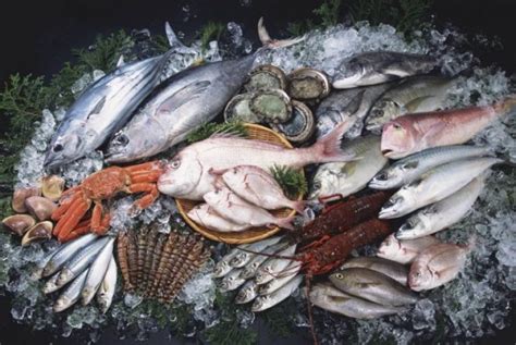 海鲜生意怎么入手？海鲜进货和货源批发有哪些诀窍？_蔬东坡