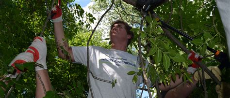 Culture | Bartlett and West