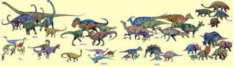 恐龙的种类有哪些？分别叫什么名字？有什么特征？_百度知道