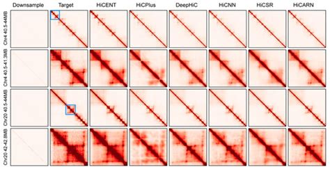 Biology | Special Issue : Artificial Intelligence Research for Complex ...