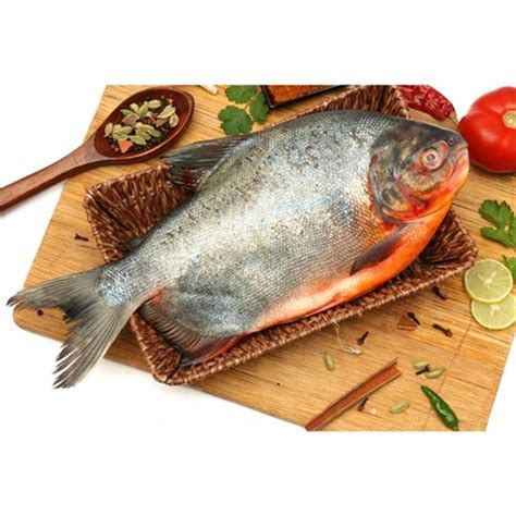 Buy Roopchand Fish ( Price Per Kg On Gross Weight ) online from Fishigo ...