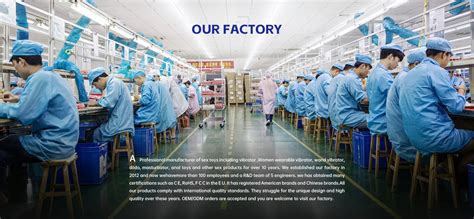 Company Overview - Shenzhen Zepu Photoelectricity Co., Ltd.