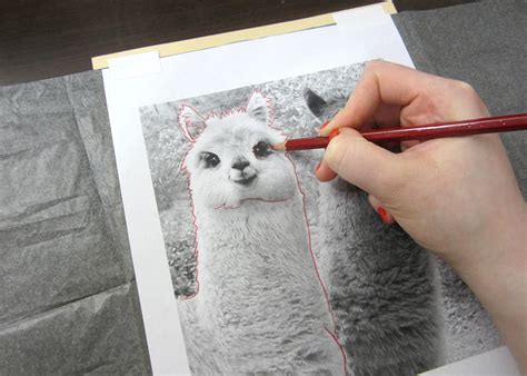 How to Use Graphite Paper 的图像结果