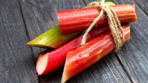 ARCHAEOLOGY OF FRUITS & VEGETABLES - Rhubarb - Chef's Mandala