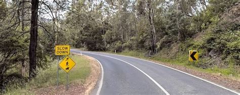 Image result for Python Ground Model