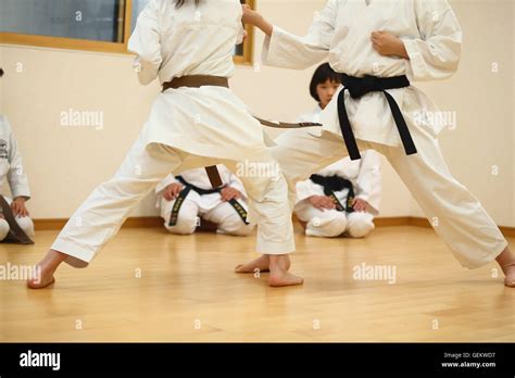 Karate Class 的图像结果