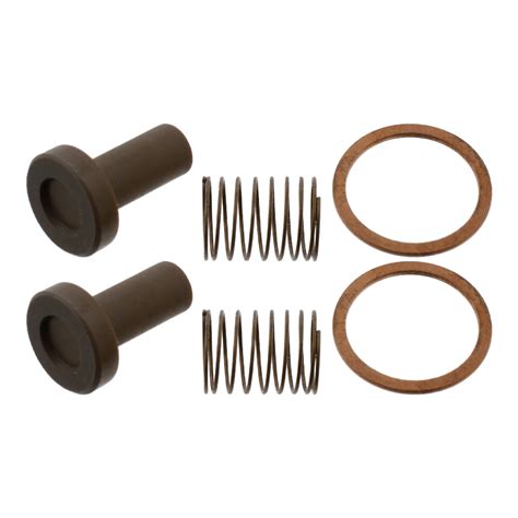 febi | 07879 | Valve Repair Kit for fuel pump | bilstein group ...
