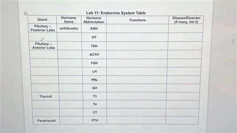 Image result for Endocrine System Table
