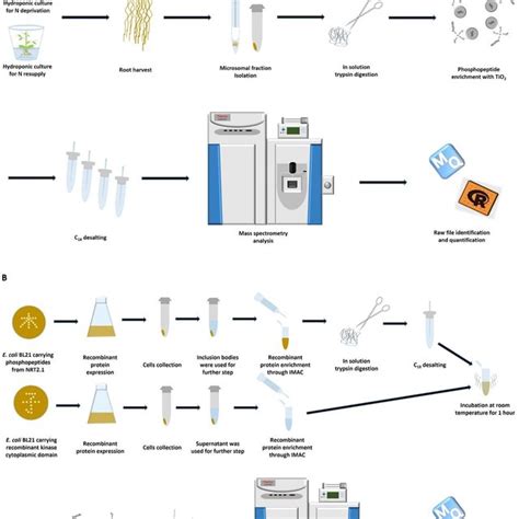 Image result for Sample Analysis