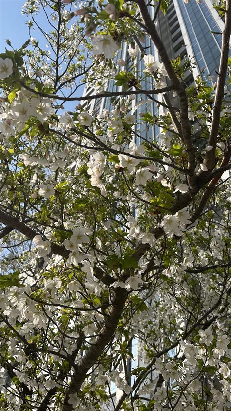 R・T（3月4週目） | テレモーション・マックス