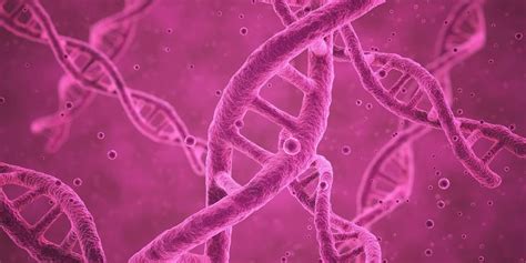 Comment Reprogrammer ADN 的图像结果